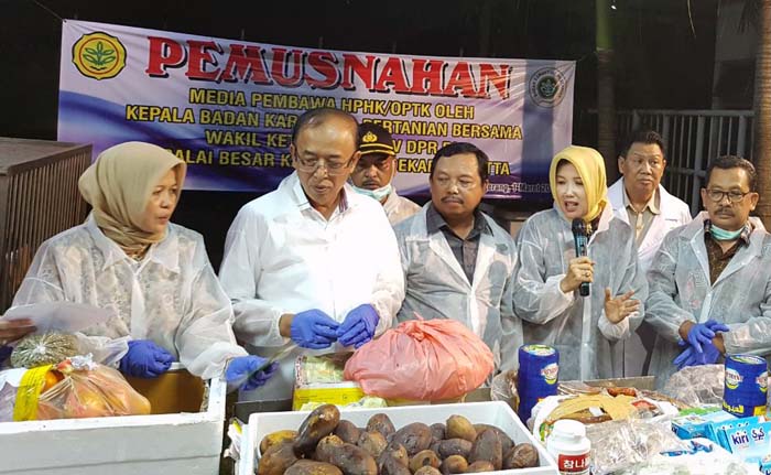 Kementan Musnahkan Komoditas Pertanian Ilegal dari 20 Negara